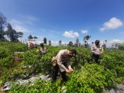 Inilah yang Dilakukan Polres Wonosobo untuk Peduli Petani