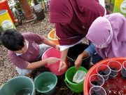 Kembangkan Urban Farming, Jadi Solusi Hadapi Pendemi Covid 19
