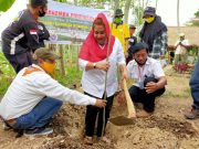 Mapala USM Tanam 100 Pohon Sukun Bersama Mba Ita