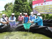 Bantuan Lele Kapolda Jateng bagi Pekerja di Jepara Jadi Percontohan