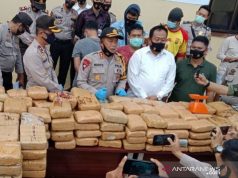 Penyelundupan 748 Kilogram Ganja Digagalkan