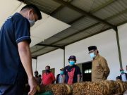 Penyerapan Tembakau Belum Optimal, Bupati Temanggung Datangi Pabrik Rokok Lagi