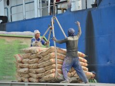 Maxstrength dan Ultrapro Produk Terbaik Semen Gresik untuk Bangun Pelabuhan Patimbang