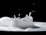 Demi Imunitas, Pentingnya Minum Susu saat Pandemi