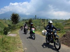 Bupati Temanggung Pantau Panen Tembakau Sampai Pelosok
