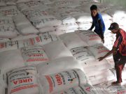 Petani Sambat Dipaksa Beli Pupuk Sistem Paket