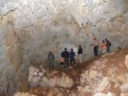 Gua Baru di Pacitan, oleh Bupati Diberi Nama Gua Jambu