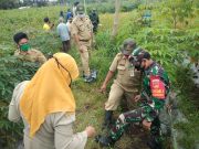 Pejabat Kecamatan Srumbung Lakukan Gropyokan Tikus bersama Masyarakat