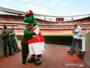 Maskot Arsenal Dirumahkan