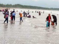 Masyarakat Pacitan Diimbau Tidak Panik oleh Ancaman Tsunami