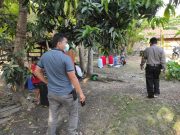 Belum Kantongi Surat Rekomendasi, Lomba Burung Berkicau Dihentikan