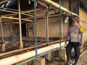 Kandang Ayam di Gubug Terbakar, Puluhan Ribu Ekor Terpanggang