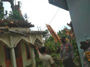 Kapolsek Batang Kota Cek Lokasi Pohon Tumbang