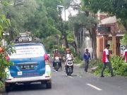 Ular, Tokek dan Burung Sering Ganggu Jaringan Listrik PLN Blora