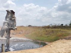 Semburan Gas & Air di Plosorejo Blora Tidak Beracun