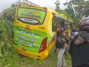 Bus Pariwisata Rem Blong di Jalur Dieng, 4 Orang Meninggal Dunia