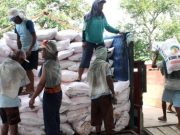 Polemik Pupuk Bersubsidi di Kabupaten Blora