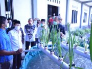 Baznas Latih 110 Mustahik Budidaya Lele Bioflok