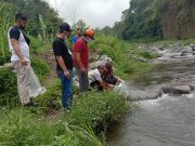 Anggota Komisi IV DPR RI Tebar 75 Ribu Benih Ikan di Wonosobo