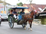 Terus Tersingkir, Nasib Dokar di Wonosobo akan Diperhatikan