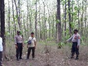 Ancaman Hukuman Berat bagi Pelaku Pencurian dan Pembakaran Hutan