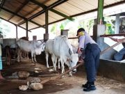 Instruksi Kapolres Blora Langsung Direspon Bripka Suseno
