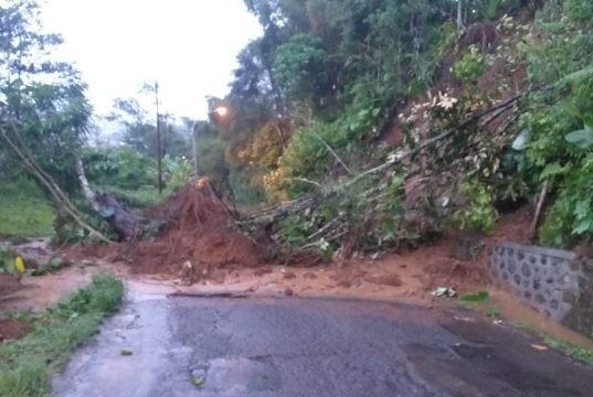 Tanah Longsor Tutup Jalan Wonosobo-Kalibeber