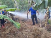 Mainkan Korek Api Akibatkan Tumpukan Jerami Terbakar