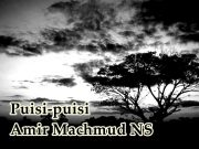 PUISI-PUISI Amir Machmud NS