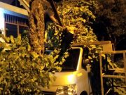 Angin Kencang di Wonogiri, Pohon Patah Menimpa Mobil dan Menutup Jalan