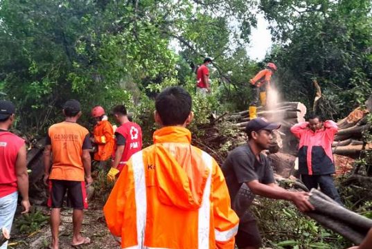 Di Wonogiri, Bencana Angin Kencang Menerjang Dua Wilayah Kecamatan