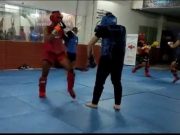 Atlet Muaythai Jateng Siap Seleksi SEA Games