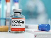 WHO Peringatkan Tetap Waspada Bahkan jika Kasus Covid-19 Menurun