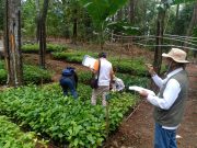 Pelaksanaan Rehabilitasi Hutan dan Lahan Perhutani dapat Dukungan Luas