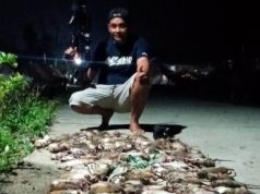 Red Buster Grobogan Berhasil Basmi 1.284 Ekor Tikus