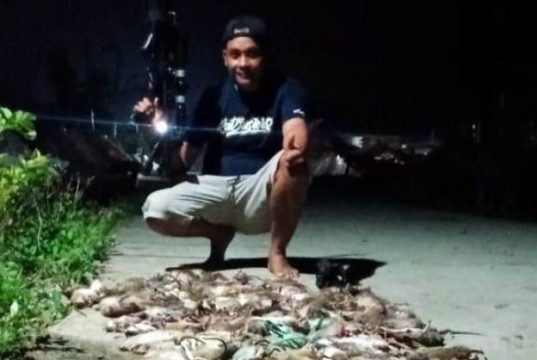 Red Buster Grobogan Berhasil Basmi 1.284 Ekor Tikus