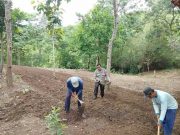 Gali Potensi Wisata Daerah, Kanit Binmas Polsek Bogorejo Inisiasi Pembangunan Wana Wisata Sabrangan