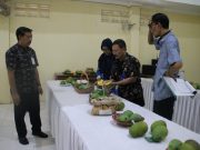 Festival Buah Jepara Mulai Digelar, Lomba Durian Desember Mendatang