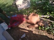 Ditemukan Mayat Tanpa Identitas di Pategalan Bondo Jepara