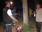 Tukang Bubut Ayam Ditemukan Bersimbah Darah di Tengah Sawah