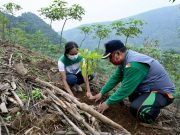 67 Ribu Bibit Pohon Ditanam di Pegunungan Muria