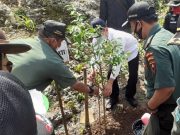 20 Hektar Lahan di Bukit Pandang, Akan Dihijaukan Perhutani Pati