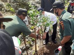 20 Hektar Lahan di Bukit Pandang, Akan Dihijaukan Perhutani Pati