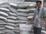 Pemkab Kudus Pastikan Stok Pupuk Bersubsidi Aman untuk MT 1