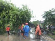 Bencana Angin Kencang dan Longsor, Wonogiri-Pacitan Macet