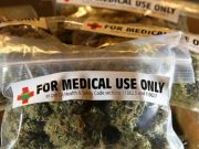 Larangan Ganja Untuk Tujuan Medis Dipersoalkan ke MK