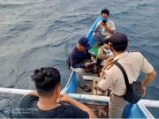 Penyelundupan Tiga Ribu Bayi Lobster Berhasil di Gagalkan