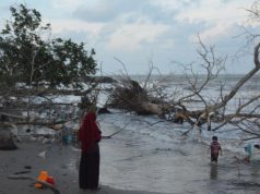 Abrasi Pesisir Gampong di Aceh Timur Kian Mengancam