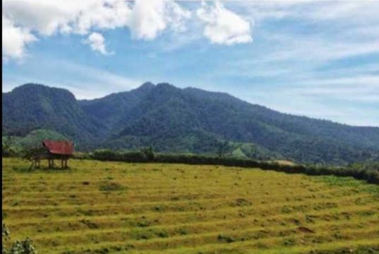 Dinas Kehutanan Sumsel Siapkan Kawasan Ekosistem Esensial