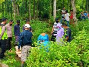 Inalillahi, Tewas Diduga Terjatuh Saat Memanjat Pohon Petai